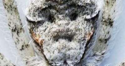 ���� ���� ������ �� ���� ������