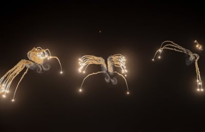 (بالصور) الحنيطي ونظيره البحريني يتابعان تمرين صقور الهواشم 6 الليلي