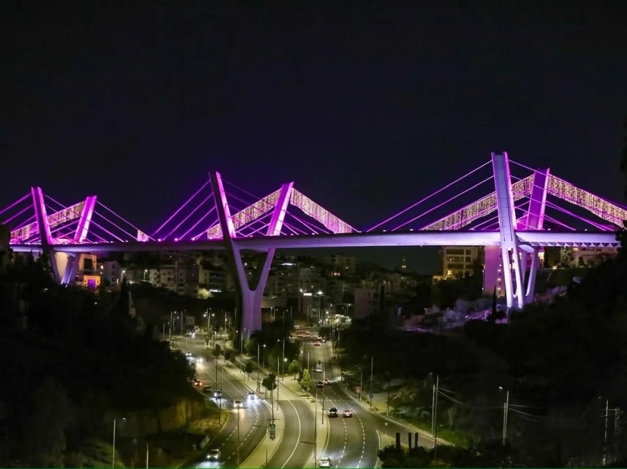 الاردن .. سقوط فتاة من جسر عبدون في عمّان وحالتها حرجة 